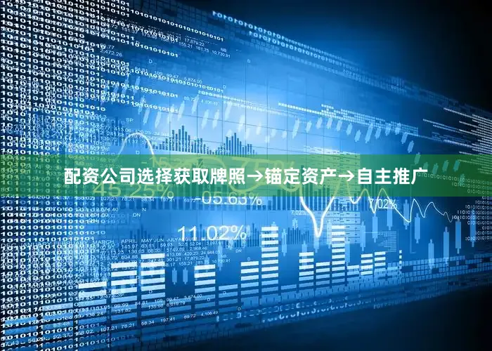 配资公司选择获取牌照→锚定资产→自主推广
