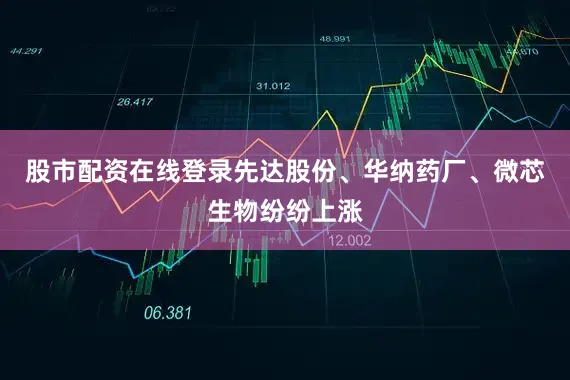 股市配资在线登录先达股份、华纳药厂、微芯生物纷纷上涨