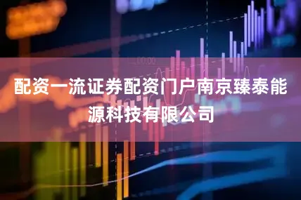 配资一流证券配资门户南京臻泰能源科技有限公司