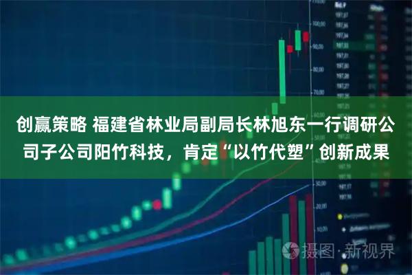 创赢策略 福建省林业局副局长林旭东一行调研公司子公司阳竹科技，肯定“以竹代塑”创新成果