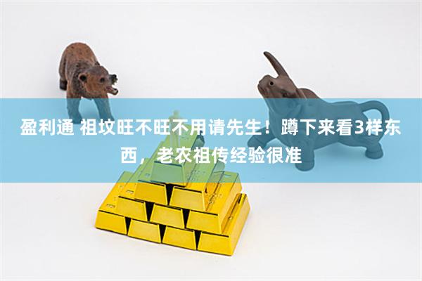 盈利通 祖坟旺不旺不用请先生！蹲下来看3样东西，老农祖传经验很准